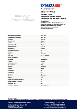 Grupos electrógenos diesel Endress ESE 45 YW/AS 