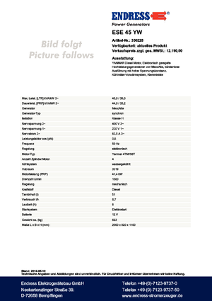 Grupos electrógenos diesel Endress ESE 45 YW 