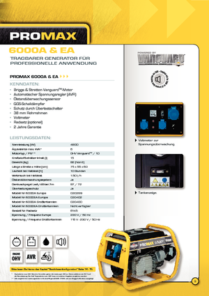 Grupos electrógenos diesel Vanguard Promax 6000 A