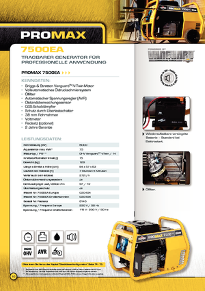 Grupos electrógenos diesel Vanguard Promax 7500 EA
