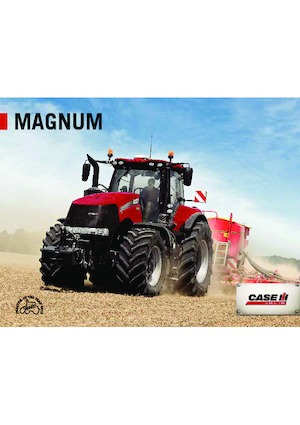 Tractores - tracción 4 ruedas Case IH Magnum 310 CVX Basis