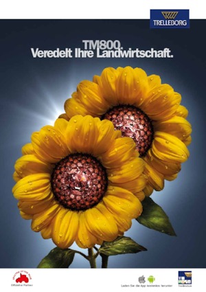 Neumáticos para agricultura Trelleborg TM800 650/65R42 165 D (168A8)