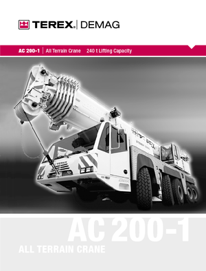 Grúas todo terreno Terex-Demag AC 200-1 (10x8x8)