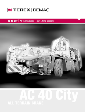 Grúas todo terreno Terex-Demag AC 40 City (6x4x6)