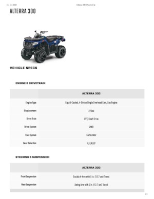 Vehículos todo terreno & Quads Artic Cat ALTERRA 300
