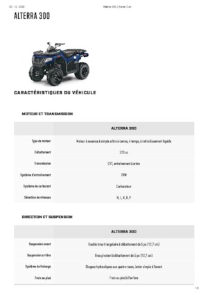 Vehículos todo terreno & Quads Artic Cat ALTERRA 300
