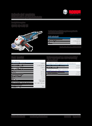 Amoladoras de ángulo Bosch GWS 19-125 CI