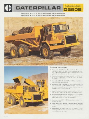 Dumperes articulados Caterpillar D250B