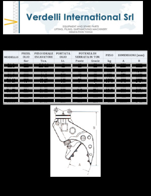 Pulverizadores de hormigón Verdelli D.I. 13