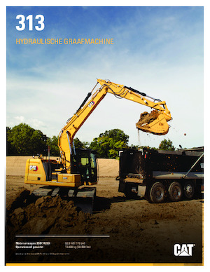 Excavadoras de orugas Caterpillar 313