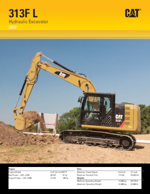 Excavadoras de orugas Caterpillar 313F L  
