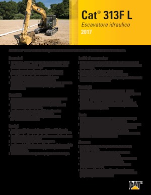 Excavadoras de orugas Caterpillar 313F L  