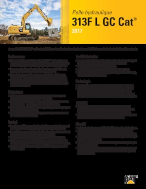 Excavadoras de orugas Caterpillar 313F L GC