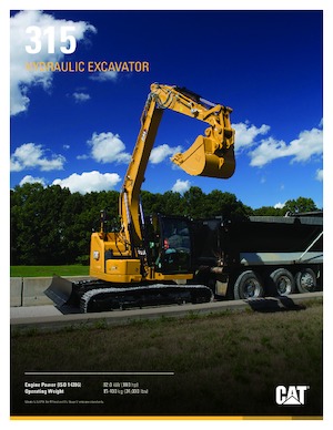 Excavadoras de orugas Caterpillar 315