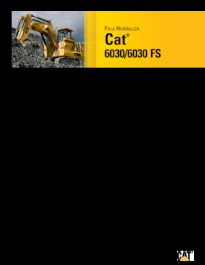 Excavadoras de orugas Caterpillar 6030 FS
