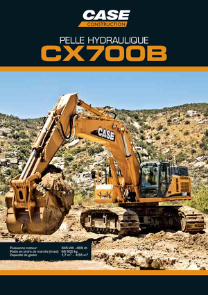 Excavadoras de orugas Case CX 700 B