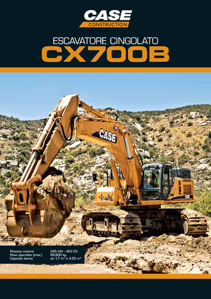 Excavadoras de orugas Case CX 700 B