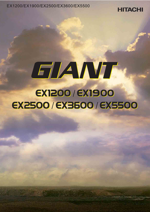 Excavadoras de orugas Hitachi EX 5500-6