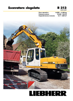 Excavadoras de orugas Liebherr R 313 Litronic