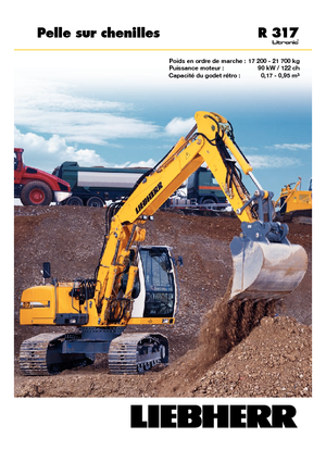 Excavadoras de orugas Liebherr R 317 Litronic