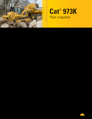 Cargadoras de orugas Caterpillar 973K