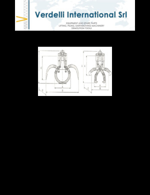 Pinzas de demolición clasificadoras Verdelli F.E.E. /25