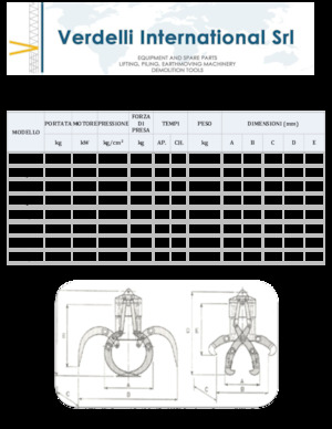 Pinzas de demolición clasificadoras Verdelli F.E.E. /25