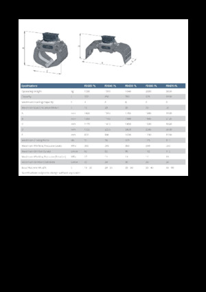 Pinzas de demolición clasificadoras FRD FDG35-PL