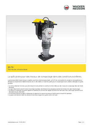 Apisonadores a gasolina y diesel Wacker DS 70,11