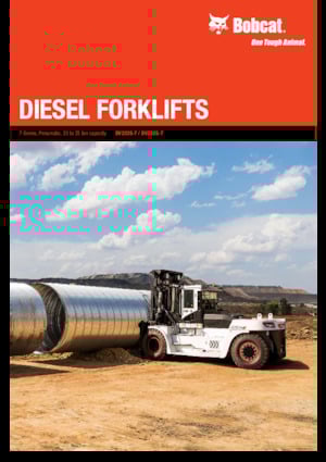 Carretillas elevadoras diesel Bobcat DV200S-7 