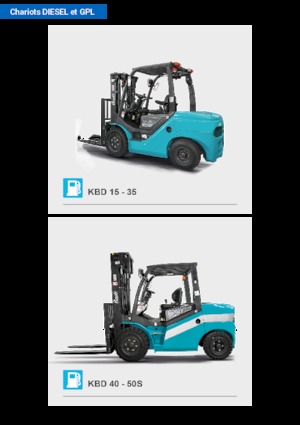 Carretillas elevadoras diesel Baoli KBD 25