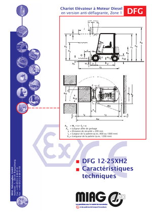 Carretillas elevadoras antidetonantes diesel Miag DFG 30 XH 2