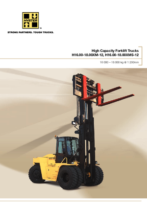 Carretillas elevadoras diesel Hyster H16.00XM 12
