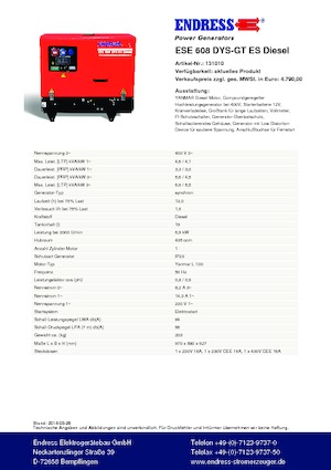 Grupos electrógenos, gasolina Endress ESE 608 DYS-GT ES DI