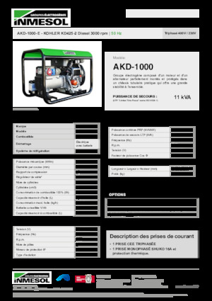 Grupos electrógenos diesel INMESOL AKD-1000-E