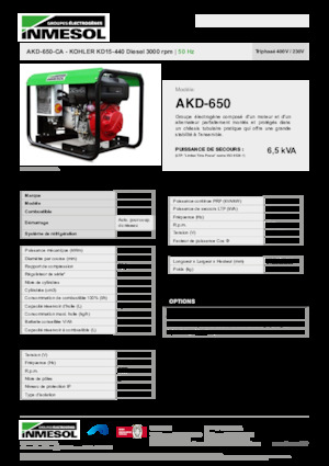 Grupos electrógenos diesel INMESOL AKD-650-CA