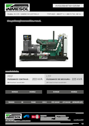 Grupos electrógenos diesel INMESOL AV-225