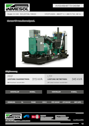 Grupos electrógenos diesel INMESOL AV-345