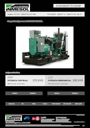Grupos electrógenos diesel INMESOL AV-345