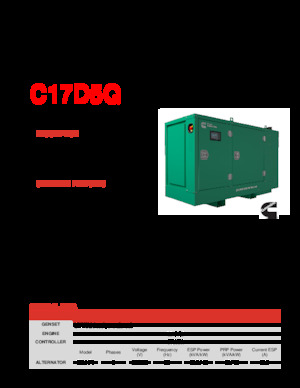 Grupos electrógenos diesel Cummins C17D5Q