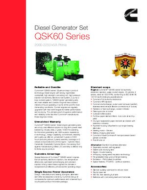 Grupos electrógenos diesel Cummins C2250 D5 P