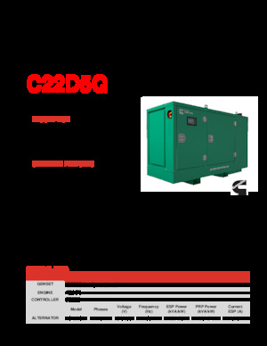 Grupos electrógenos diesel Cummins C22D5Q