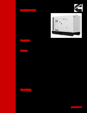 Grupos electrógenos diesel Cummins C300D2RE