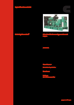 Grupos electrógenos diesel Cummins C380 D5