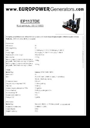Grupos electrógenos diesel Europower EP113TDE (S)