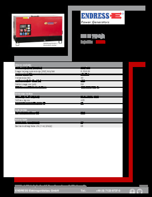 Grupos electrógenos diesel Endress ESE 10 YW-B/A 