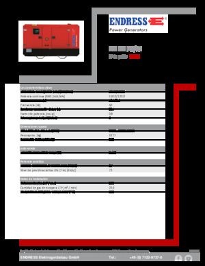 Grupos electrógenos diesel Endress ESE 165 PW/AS 