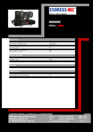 Grupos electrógenos diesel Endress ESE 175 IW