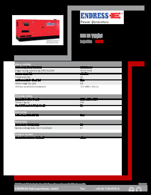 Grupos electrógenos diesel Endress ESE 20 YW/AS 