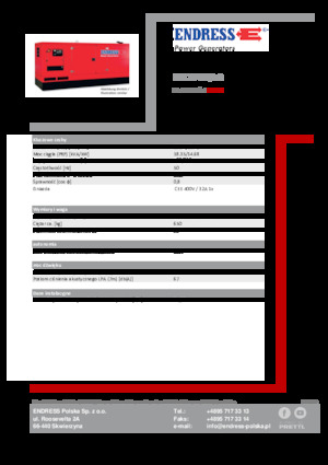 Grupos electrógenos diesel Endress ESE 20 YW/AS 